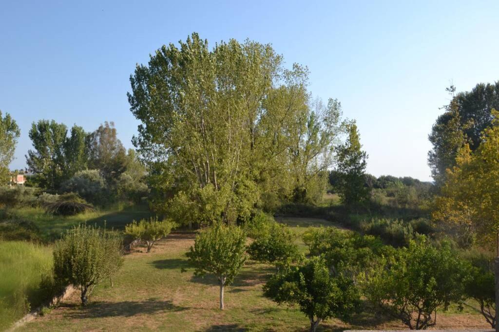 Beach House Into The Green! Preveza Exterior photo